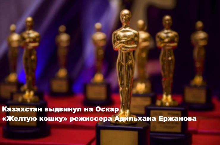 Казахстан выдвинул на Оскар «Желтую кошку»