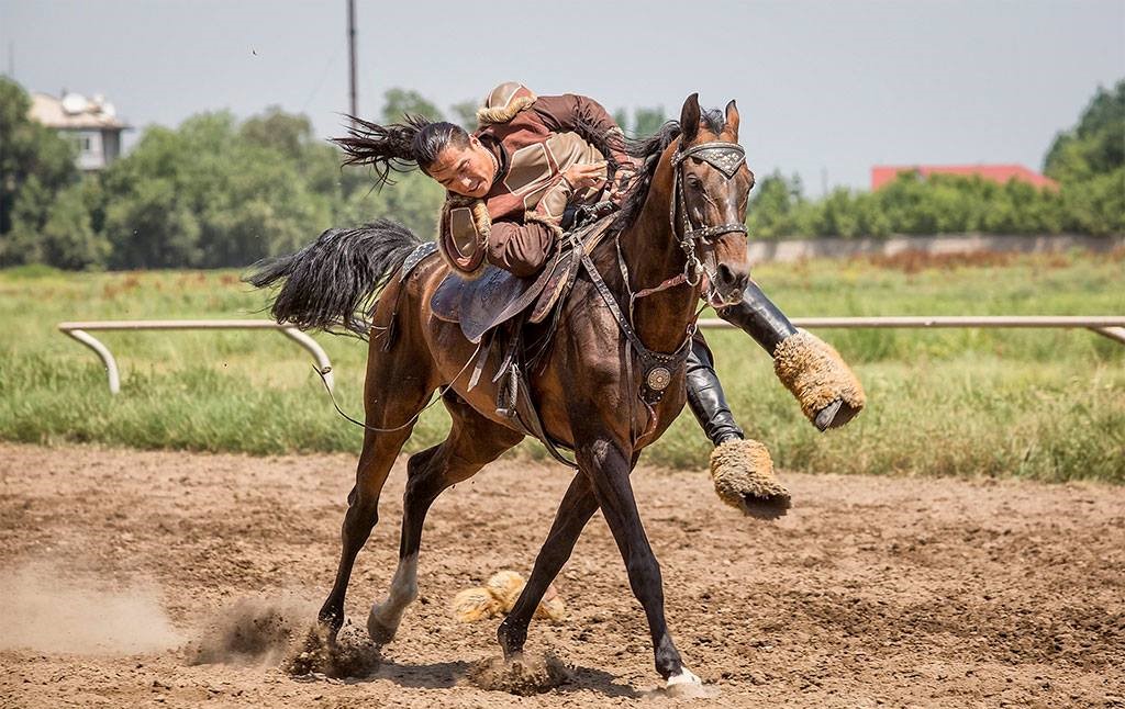 Nomad's. Nomad Stunts. Монгольская джигитовка. Конное шоу. Спешивается с лошади.